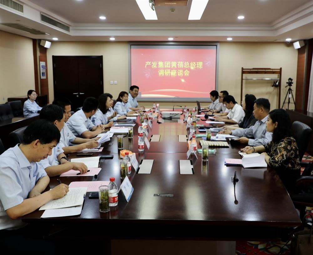 集團黨委副書記、總經(jīng)理黃蓓帶隊調(diào)研濟南市工程咨詢院
